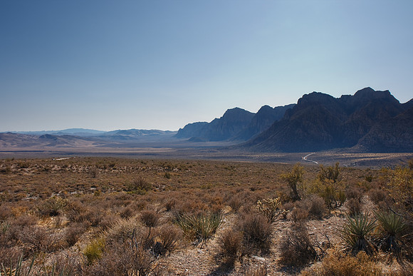 20091114_6593