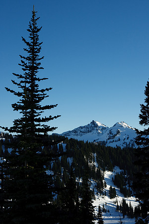 Mount Rainier National Park