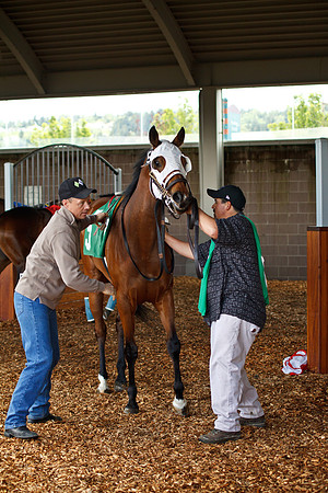 Emerald Downs