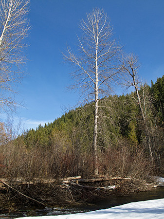 Tumwater Campground