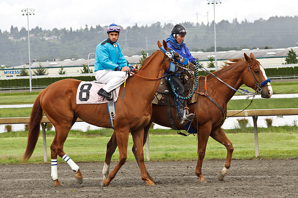Emerald Downs