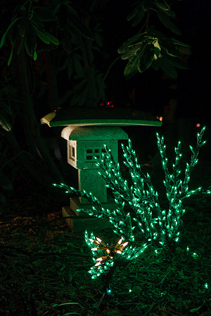 20090103_2422_03_Bellevue_DLights