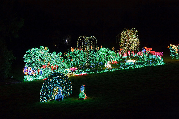 20090103_2443_03_Bellevue_DLights