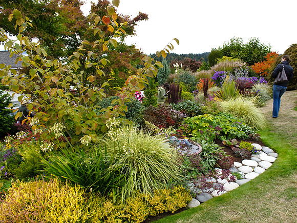 Stacie Crook's Garden