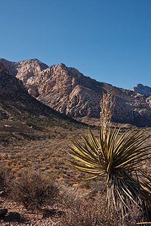 20091114_6598