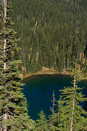 20080928_1642