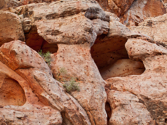 Red Rock Canyon, NV, USA