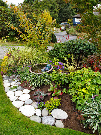 Stacie Crook's Garden