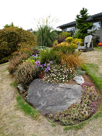 Stacie Crook's Garden