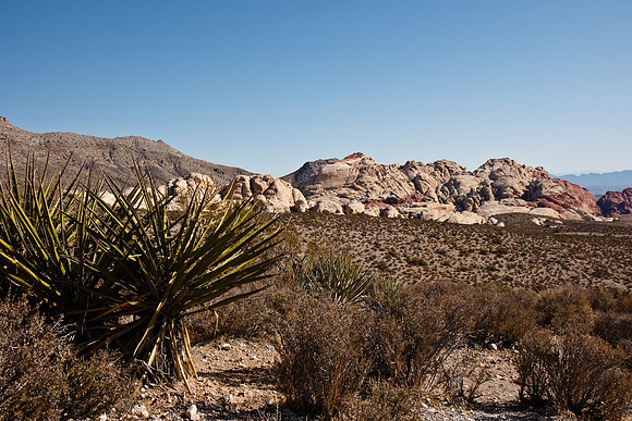 20091114_6577