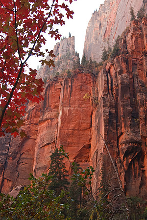 20081025_1908