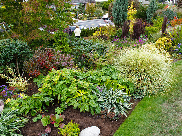 Stacie Crook's Garden