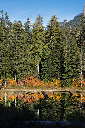 Mountain Loop Hwy