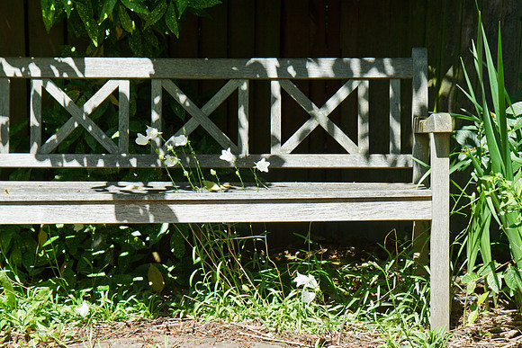2010 Highline Garden Tour