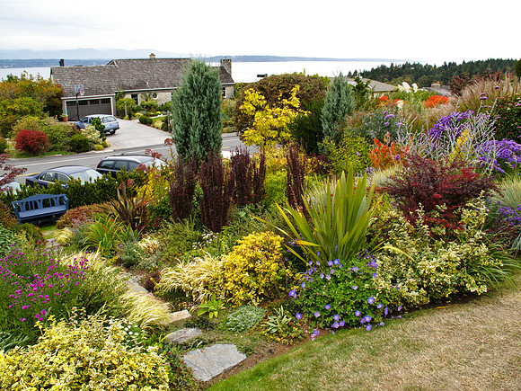 Stacie Crook's Garden