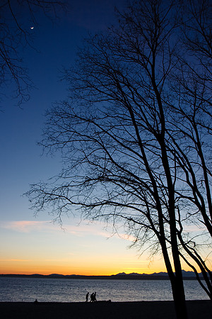 Golden Gardens Sunset