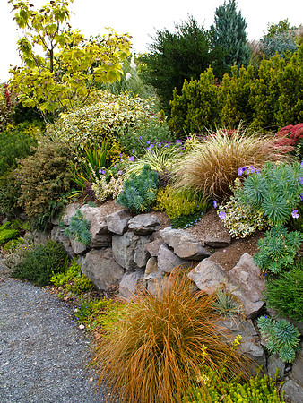 Stacie Crook's Garden