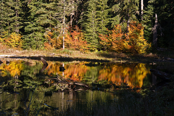 Mountain Loop Hwy