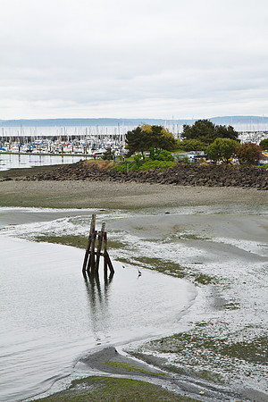 Elliott Bay