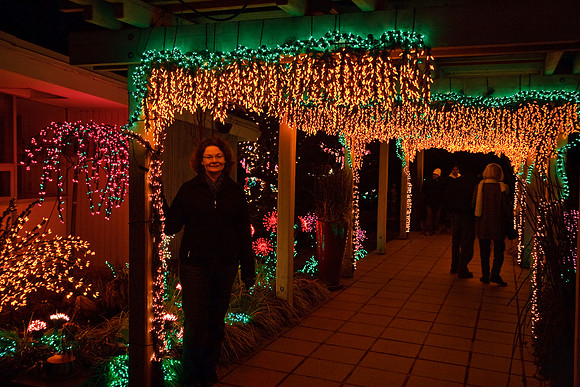 20090103_2441_03_Bellevue_DLights