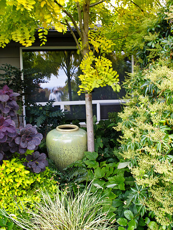 Stacie Crook's Garden