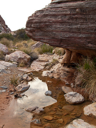 Red Rock Canyon, NV, USA