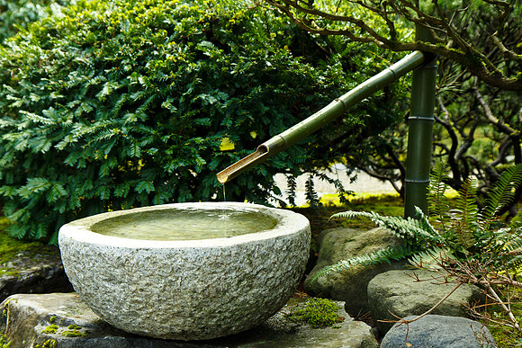 Japanese Gardens