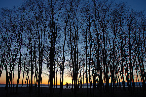 Golden Gardens Sunset
