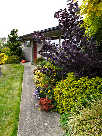 Stacie Crook's Garden