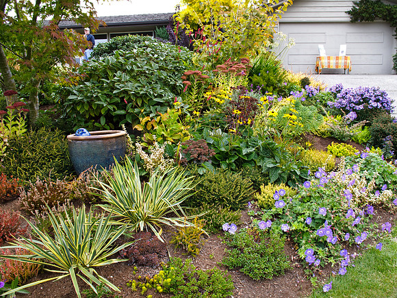 Stacie Crook's Garden
