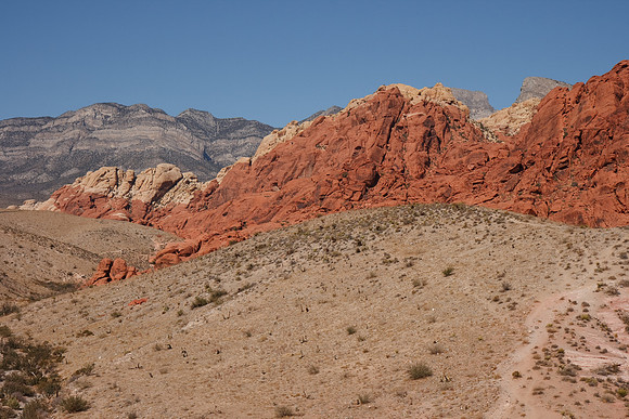 20091114_6574