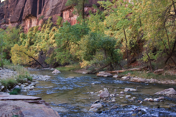 20081025_1924