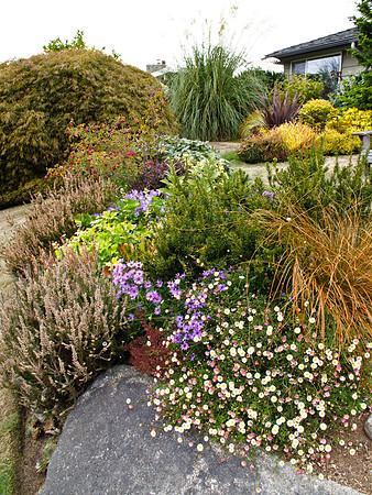 Stacie Crook's Garden
