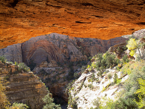 Zion National Park