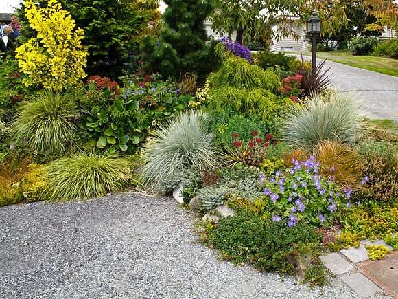Stacie Crook's Garden