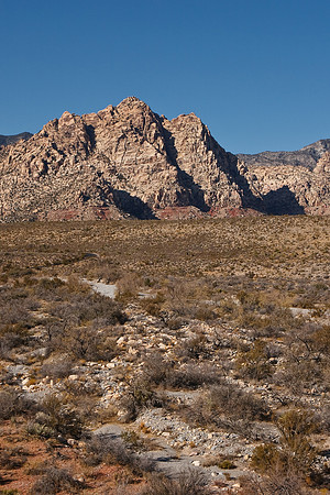 20091114_6600