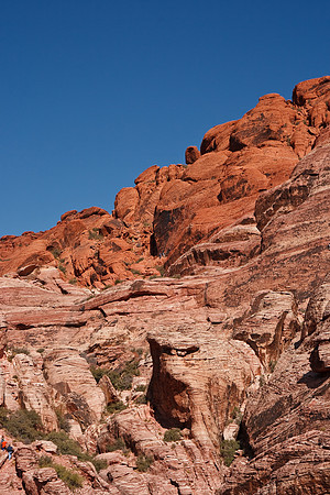 20091114_6569