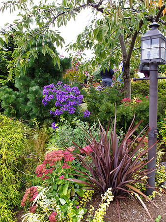 Stacie Crook's Garden