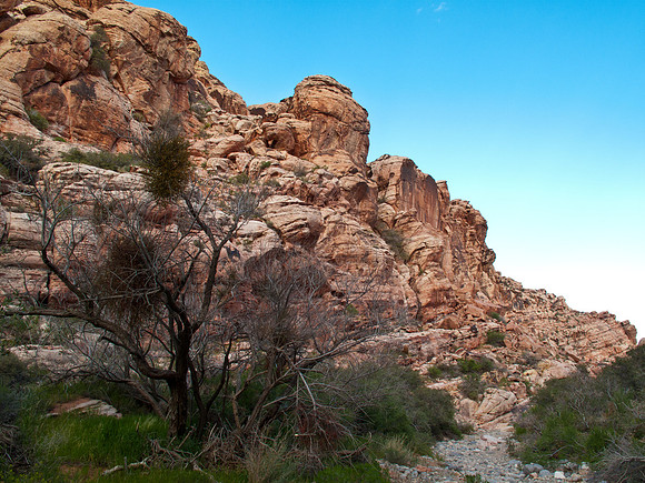 Red Rock Canyon, NV, USA