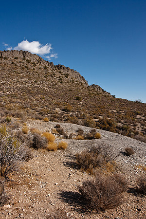 20091114_6591