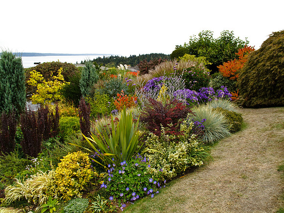 Stacie Crook's Garden