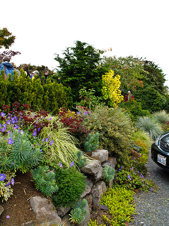 Stacie Crook's Garden