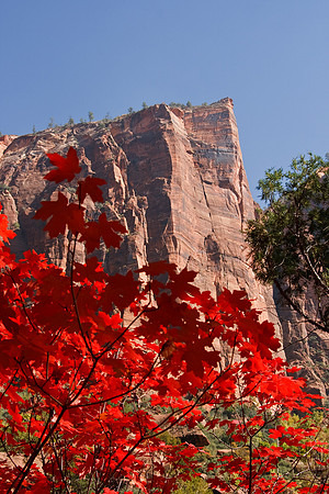 20081025_1879