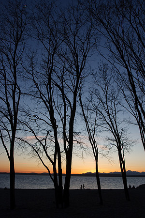 Golden Gardens Sunset