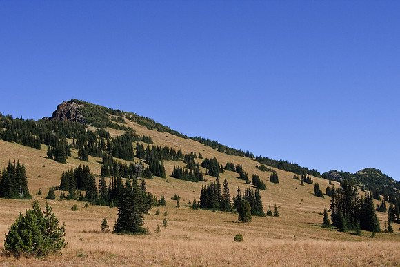 20080928_1657