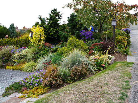 Stacie Crook's Garden