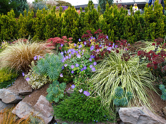 Stacie Crook's Garden