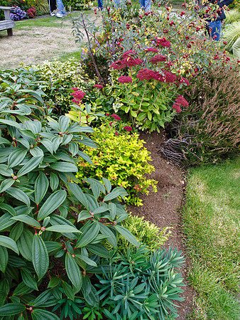 Stacie Crook's Garden