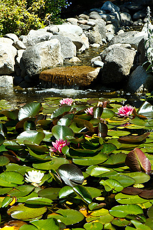 2010 Highline Garden Tour