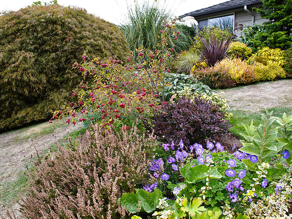 Stacie Crook's Garden